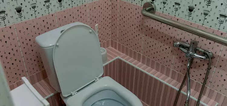 Meeting Diverse Needs With Accessible Restroom Solutions in Florence-Graham, CA